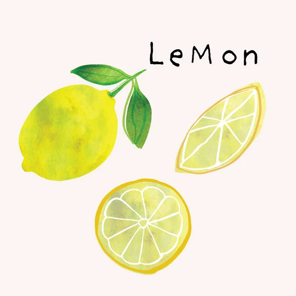 Λεμόνι φρούτα ακουαρέλα εικονογράφηση σετ. Ζωγραφική υδατογραφία υφή και στοιχεία σχεδίασης μελάνι. Ζωγραφισμένα στο χέρι — Διανυσματικό Αρχείο