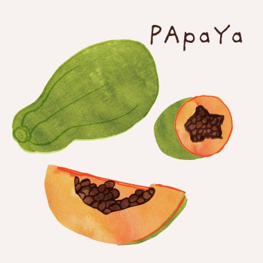 Papaya meyve suluboya resim seti. Resimli suluboya doku ve mürekkep çizim elementleri. El çizimi ve el boyaması.