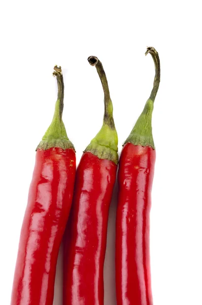 The top three chili peppers — Stock Photo, Image