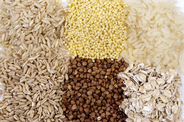 Getreidesorten: Reis, Hirse, Buchweizen, Haferflocken — Stockfoto