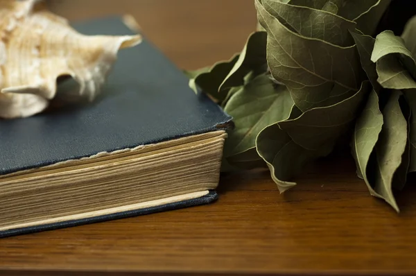 Composición de libros antiguos, conchas y hoja de laurel seca —  Fotos de Stock