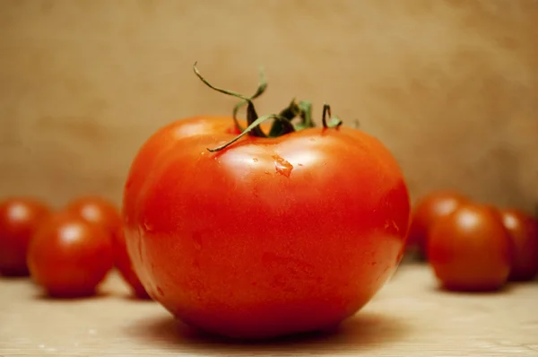 Große rote Tomate vor kleinen Tomaten — Stockfoto