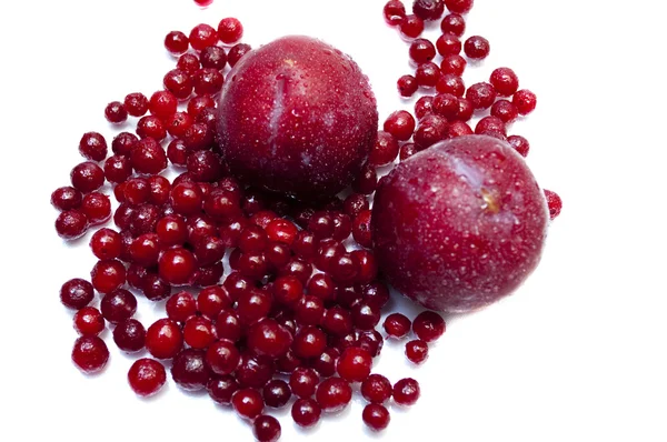Red berry cranberry and plum on a white background — Stock Photo, Image