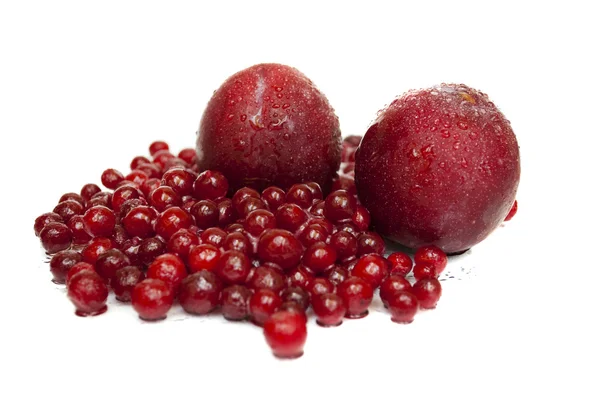 Red berry cranberry and plum on a white background — Stock Photo, Image