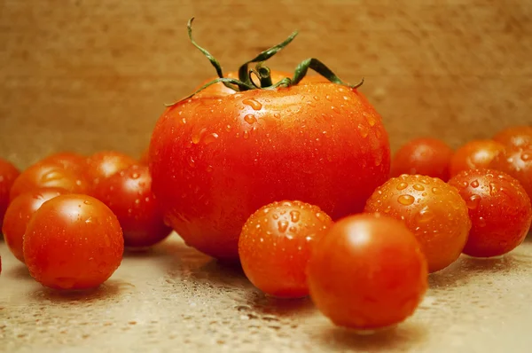 Tomate rojo grande entre tomates pequeños —  Fotos de Stock