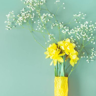 Sarı narsisli bayram bahar kompozisyonu ve mavi arka planda fotokopi alanı olan çigila. 8 Mart, Kadınlar Günü ve Paskalya Bayramı için bahar mevsimi çiçek kartı uygun