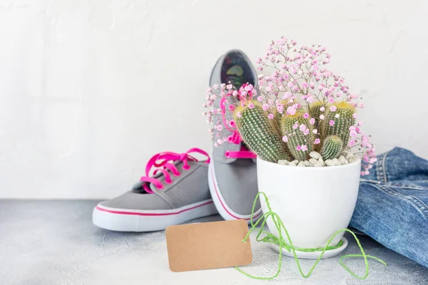 Sneakers, giacca in denim e cactus in una pentola bianca su fondo chiaro — Foto Stock