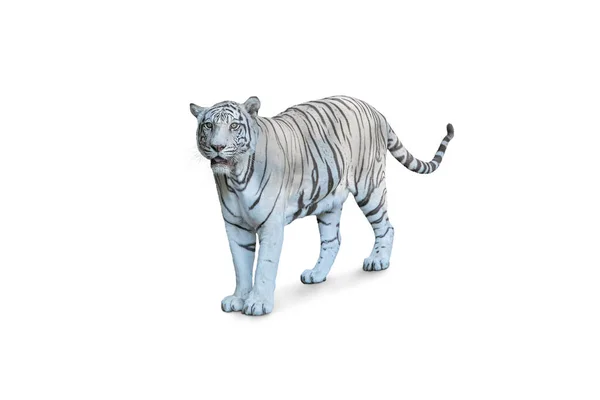 Blanco Tigre Grande Panthera Tigris Bengalensis Caminando Aislado Blanco — Foto de Stock