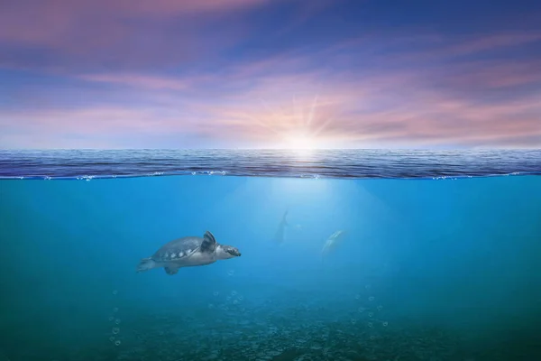 BLUE UNDER WATER waves and bubbles. Beautiful white clouds on blue sky over calm sea with sunlight reflection, Tranquil sea harmony of calm water surface. Sunny sky and calm blue ocean.