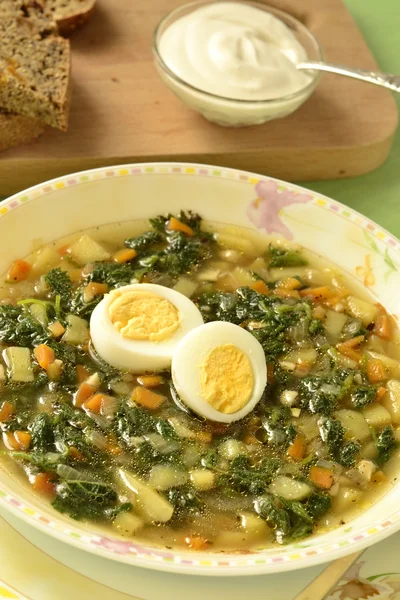 Sopa de verduras con ortigas jóvenes y huevos — Foto de Stock