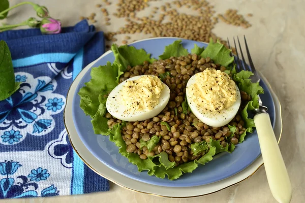 レンズ豆のサラダ卵とクリーム カレー — ストック写真