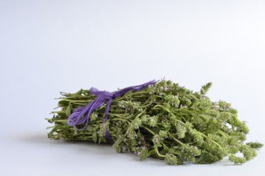 demet beyaz zemin üzerine taze kekik