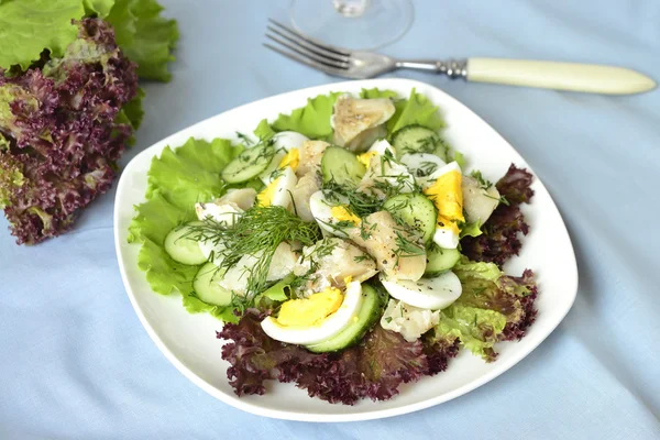 Рыбный салат с яйцом, огурцом и салатом — стоковое фото