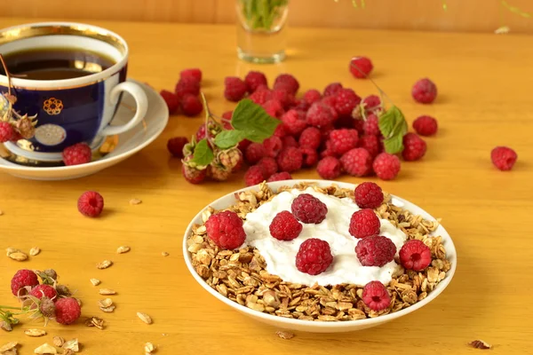 Homemade granola with yogurt, raspberries and tea — Stock Photo, Image