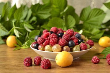 çilek (ahududu, mavi çilek, kayısı, bektaşi çeşitleri)