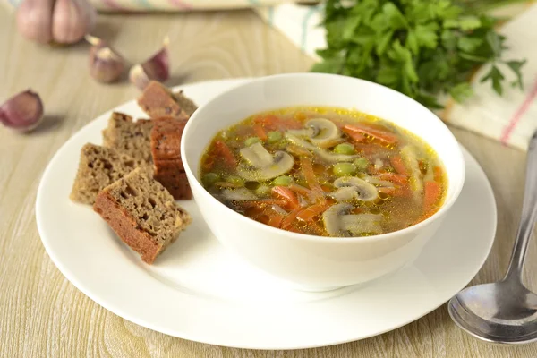 Sopa de verduras gruesas con champiñones — Foto de Stock