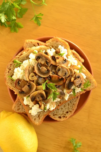 Toast with mushrooms and goat cheese — Stock Photo, Image
