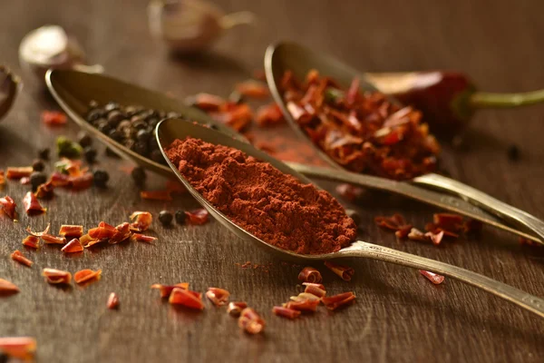 Dry spices in old spoons, soft focus — Stock Photo, Image