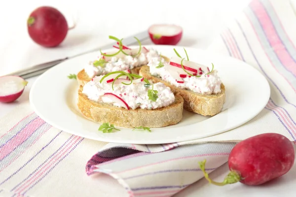 Ciabatta con requesón y paté de rábano —  Fotos de Stock