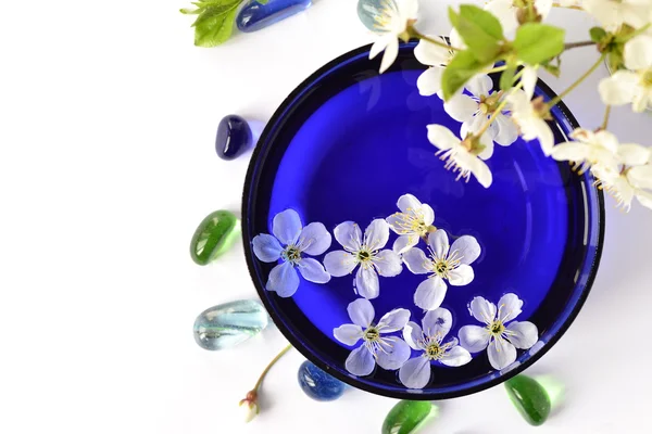 Weiße Blumen in einer Schale für den Wellnessbereich — Stockfoto