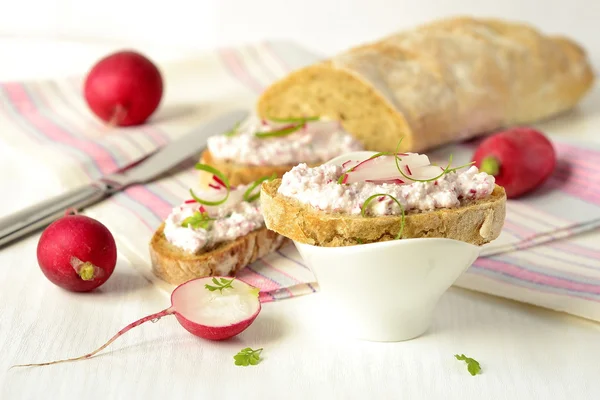 Ciabatta with cottage cheese and radish pate — Stock Photo, Image