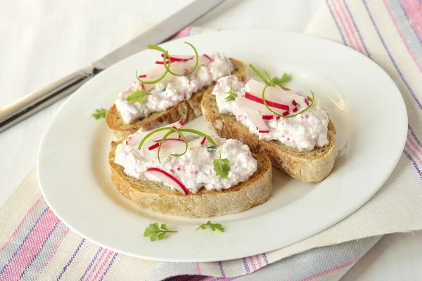 Ciabatta with cottage cheese and radish pate — Stock Photo, Image