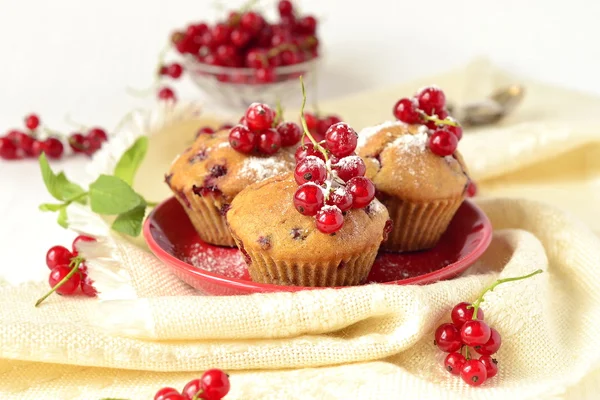 Volkoren muffins met rode aalbessen — Stockfoto