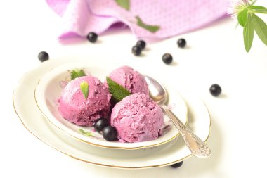 ? omemade? lackcurrant dondurma