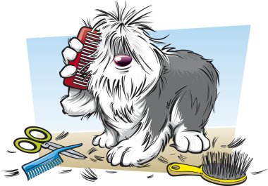 tüylü köpek onun kadar fırçalama