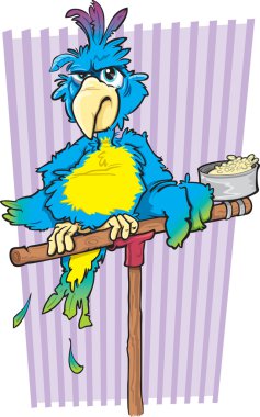 Grumpy Parrot clipart
