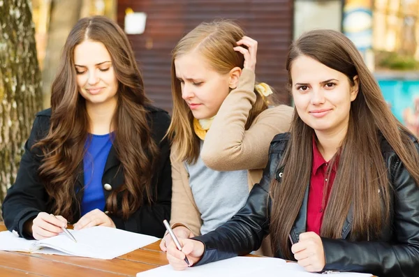 Estudiantes aprendiendo juntos — Foto de Stock