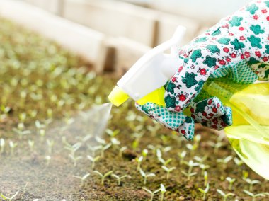 Sulama Kabı kullanarak