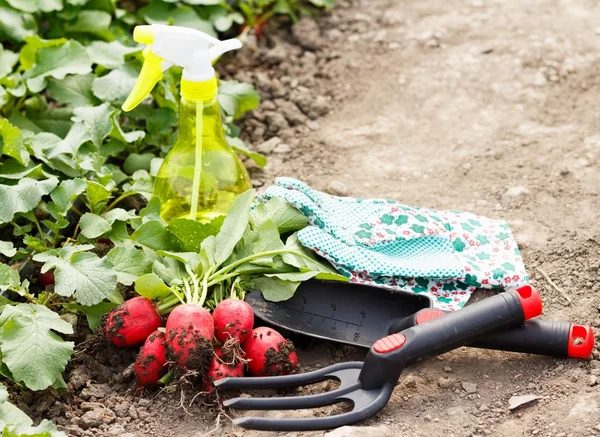 Gardening Works — Stock Photo, Image