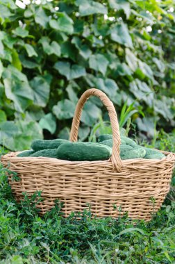 sepet ve salatalık çim