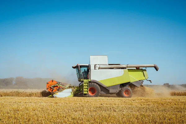 Combiner les récoltes récolteuses de blé mûr. Concept d'une récolte riche. Agriculture image — Photo