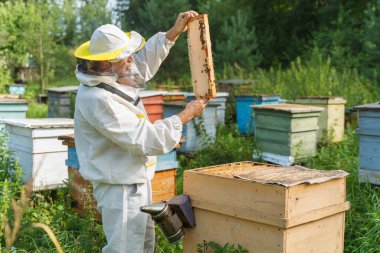 Arı yetiştiricisi arılarla çalışır.