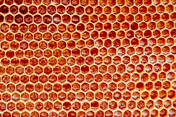 蜂の巣の蜜蝋の断面の背景の質感とパターンは、黄金の蜂蜜iでいっぱい — ストック写真