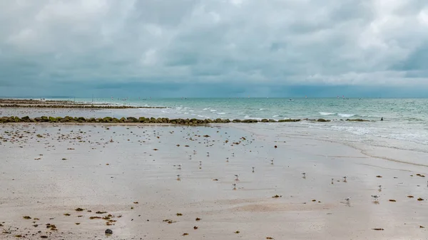 Пляж Агон Кутайнвіль Нормандії Після Грози Чайками — стокове фото