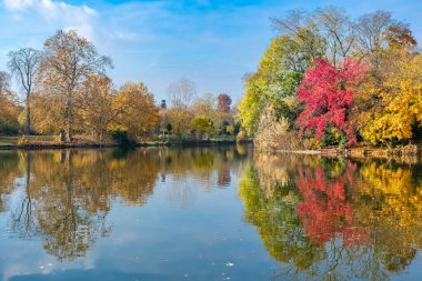 Vincennes Gölü, sonbaharda ağaçların yansımasıyla