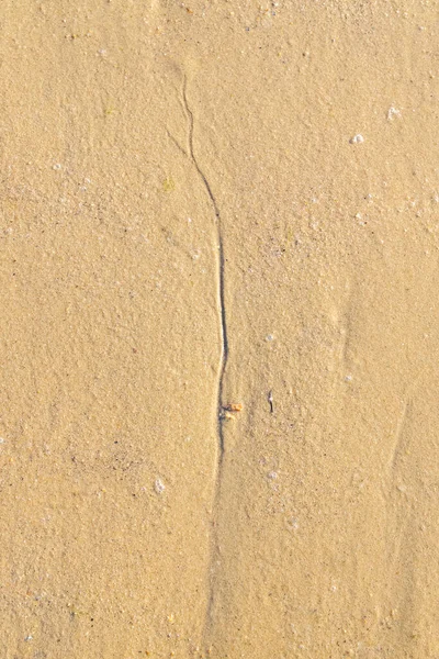 Маленькі Зерна Піску Пляжі Барвистий Фон — стокове фото