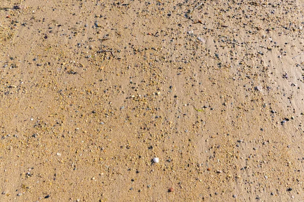 Pequenos Grãos Areia Uma Praia Fundo Colorido — Fotografia de Stock