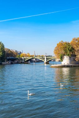 Paris, Tournelle köprüsü, ve Saint-Louis, Seine nehrinde kuğular