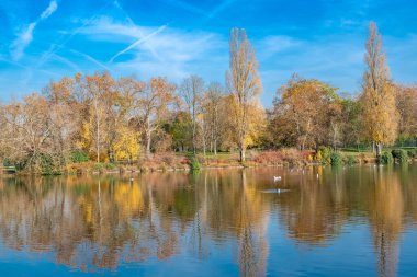 Vincennes Gölü, sonbaharda ağaçların yansımasıyla
