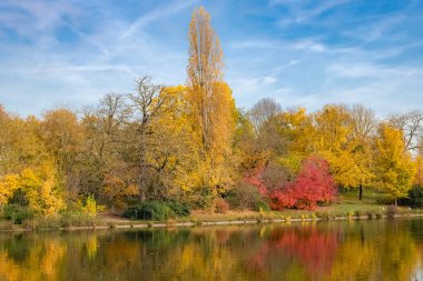 Vincennes Gölü, sonbaharda ağaçların yansımasıyla