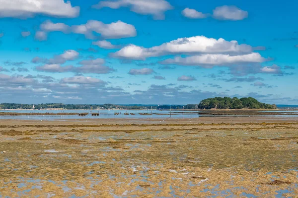 Bretagne Ile Aux Moines Île Dans Golfe Morbihan Panorama Été — Photo