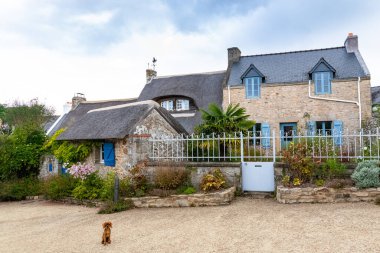 Brittany, Morbihan Körfezi 'ndeki Ile aux Moines adası. Köyde sazdan bir kulübe.