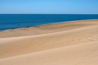 Namibya, Namib Çölü, denize düşen sarı kum tepelerinin manzarası.