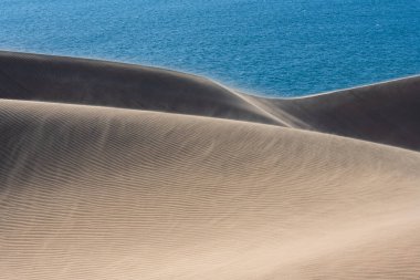 Namibya, Namib Çölü, denize düşen sarı kum tepelerinin manzarası, kumların üzerine esen rüzgar.