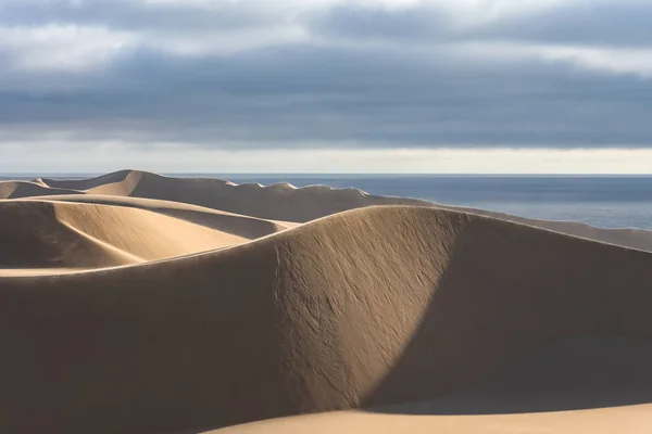 Namibya Namib Çölü Denize Düşen Sarı Kum Tepelerinin Manzarası — Stok fotoğraf