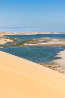 Namibya, Namib Çölü, denize düşen sarı kum tepelerinin manzarası.